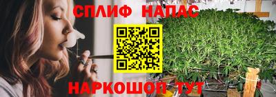 герыч Кингисепп