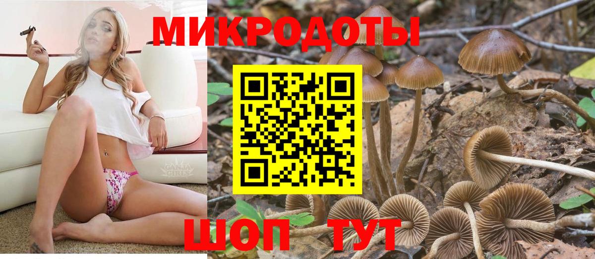 Псилоцибиновые грибы GOLDEN TEACHER Кузнецк