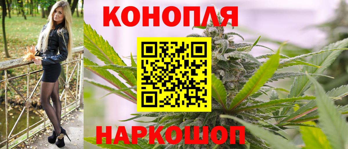 Бошки марихуана гибрид  Конопля конопля  Бошки Шишки ГИДРОПОН  Кузнецк  Вход с VPN  Конопля планчик 